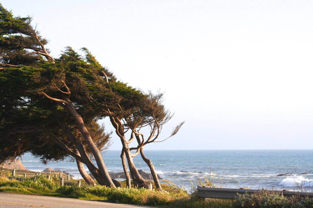 Captain'S Cove Inn Cambria Exterior foto